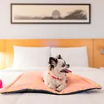 Hotel Ibis Hauptbahnhof