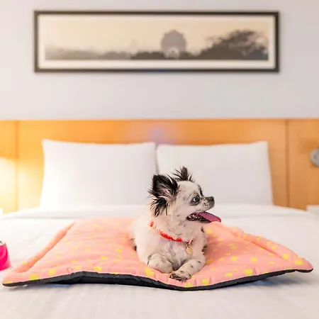 Hotel Ibis Hauptbahnhof Nuremberg