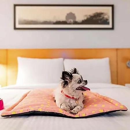 Ibis Hauptbahnhof 3* נירנברג